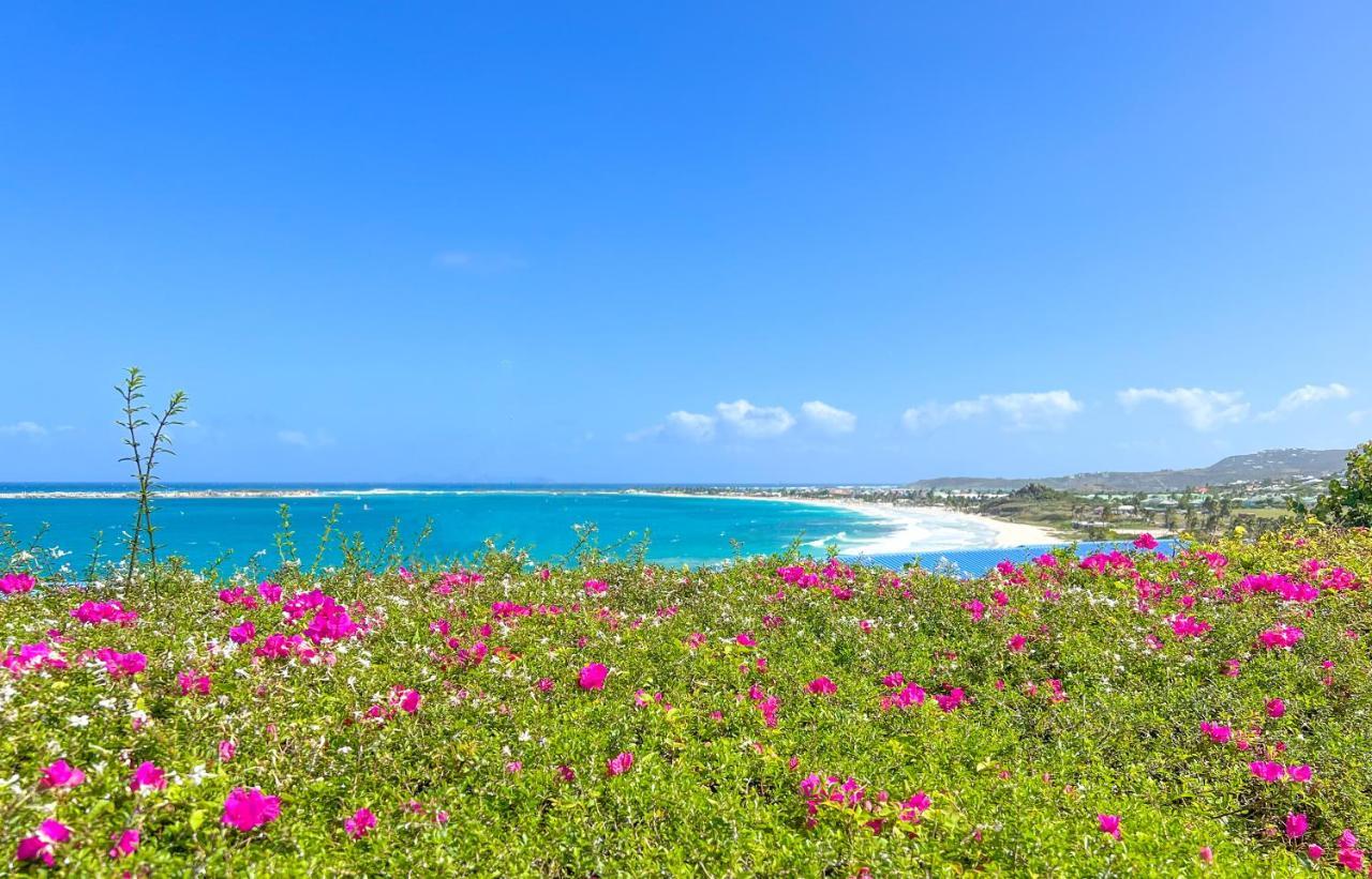 شقة Front Line Unit 520 Ft2 - 48 M2, On Second Floor, Stunning Ocean View كول دي ساك المظهر الخارجي الصورة