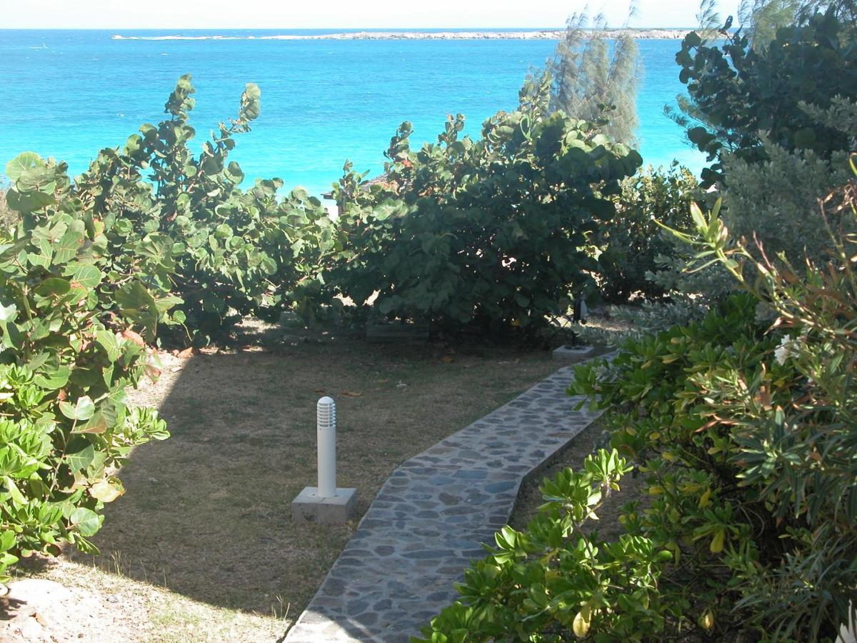 شقة Front Line Unit 520 Ft2 - 48 M2, On Second Floor, Stunning Ocean View كول دي ساك المظهر الخارجي الصورة